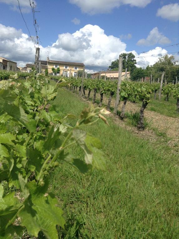 Chateau Nardou Hotel Saint-Sulpice-et-Cameyrac Luaran gambar