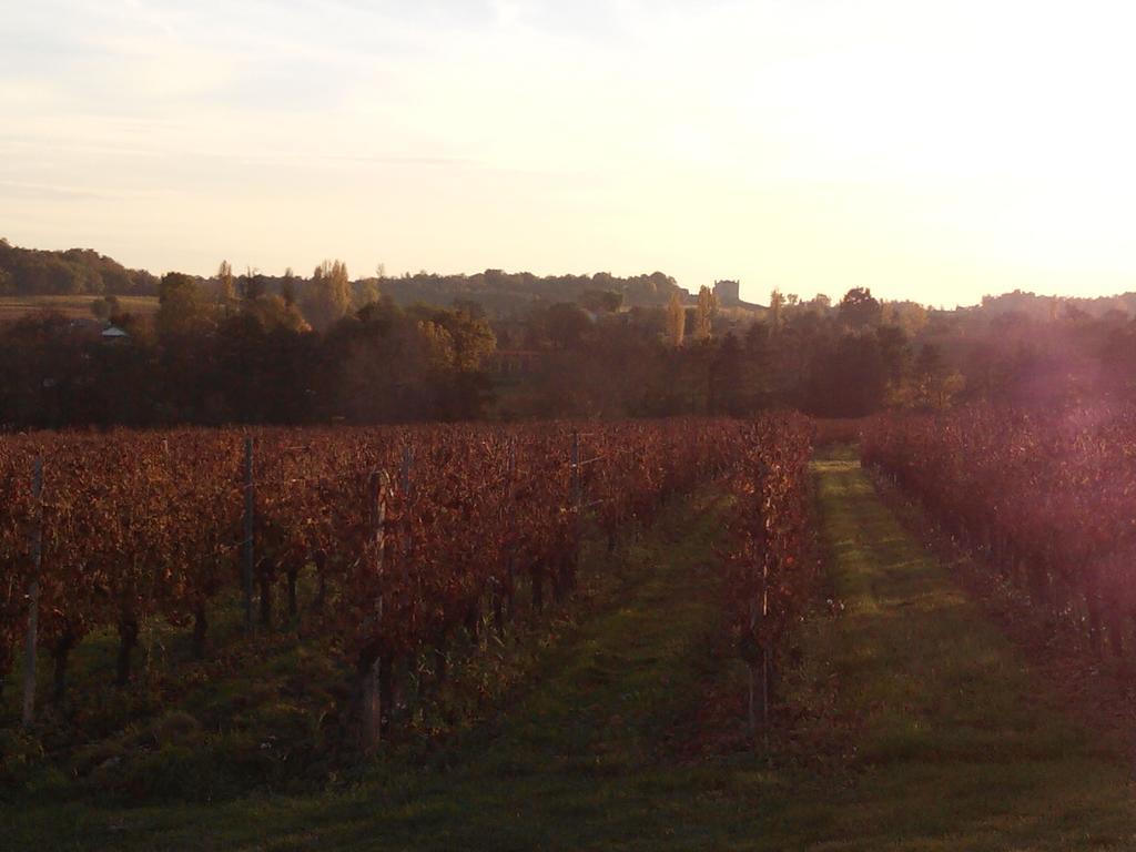 Chateau Nardou Hotel Saint-Sulpice-et-Cameyrac Luaran gambar