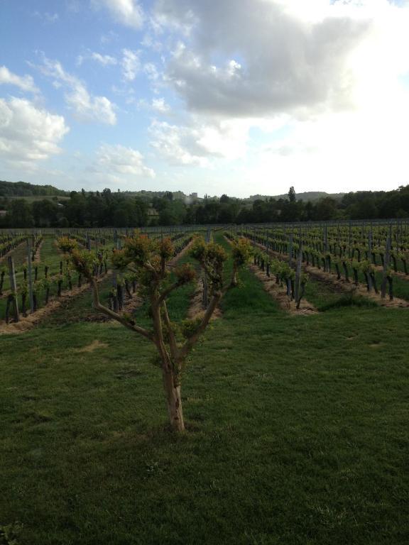 Chateau Nardou Hotel Saint-Sulpice-et-Cameyrac Bilik gambar